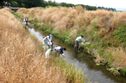 Picture of Cleaning up along the Maenogawa River in connection with Fukaya City’s “zero garbage” cleanup campaign