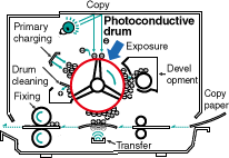 Fig. Photoconductive drum