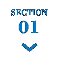 SECTION01