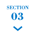 SECTION03