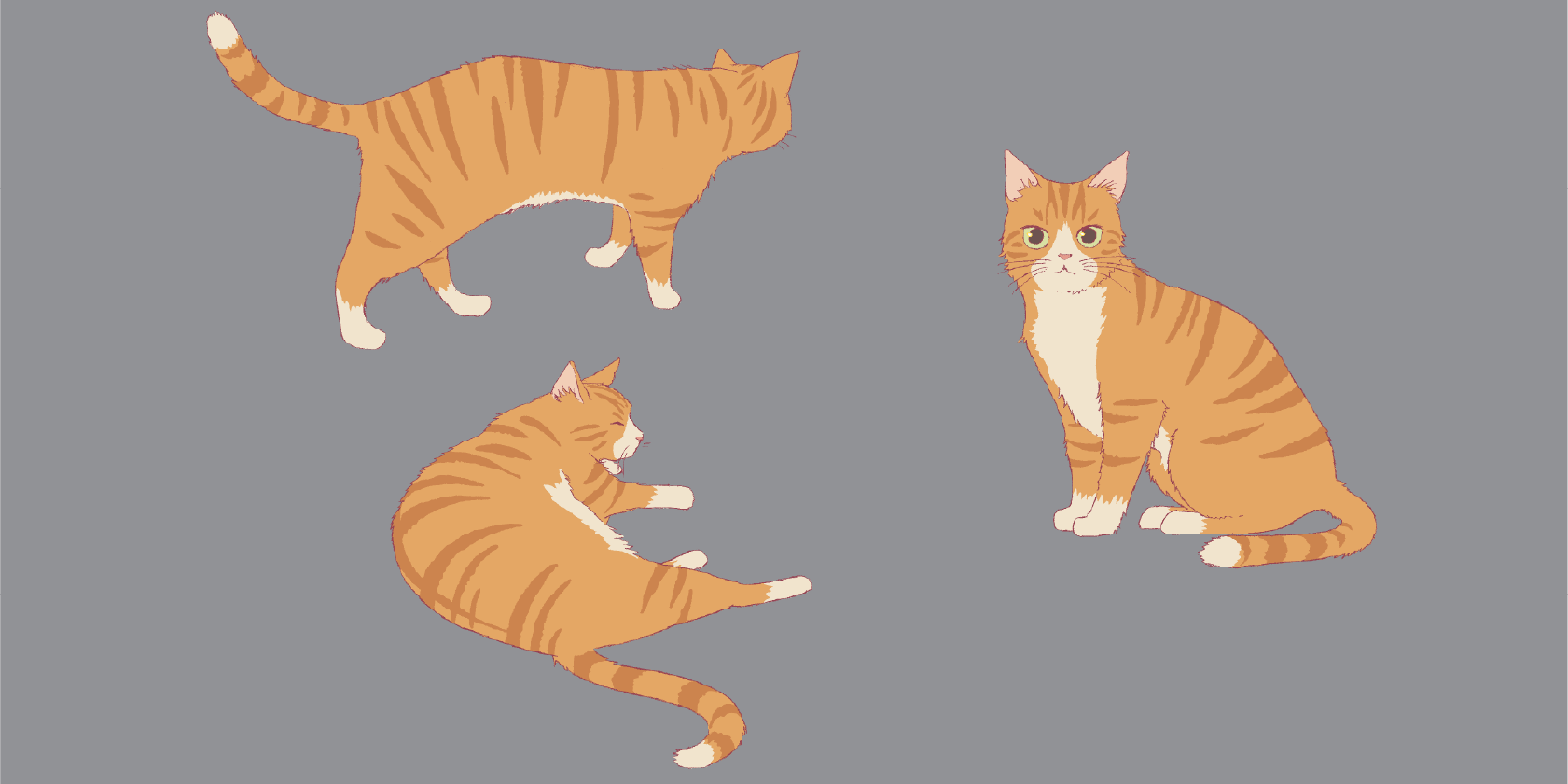 ニューム全身カラー