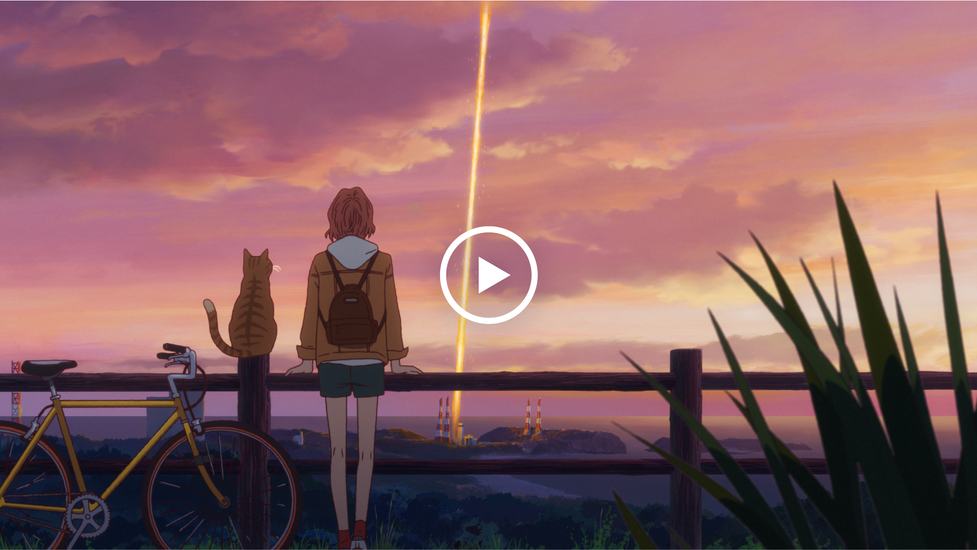 クリックして15秒のコマーシャルを再生