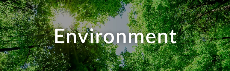 A Future where the Earth can Continue to be Beautiful and Bountiful