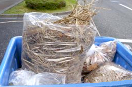 UACJ製箔 滋賀工場の清掃活動写真
