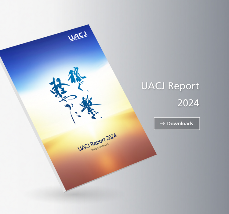 UACJ Report2020