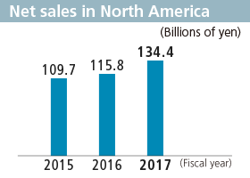 Net sales in North Amarica