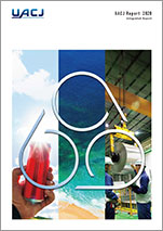 Fiscal Year Ended March 31, 2020