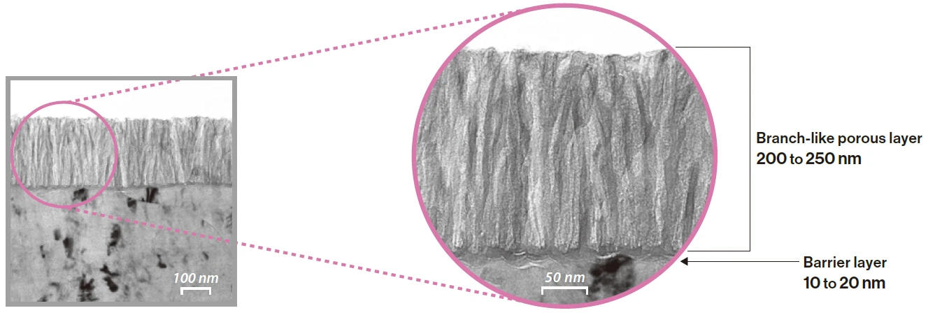 Structure of KO-treated film