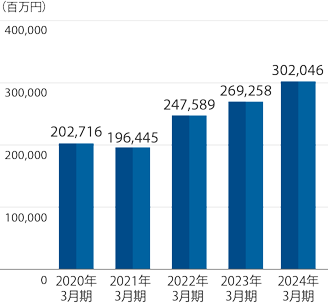 純資産のグラフ