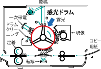 感光ドラムの図