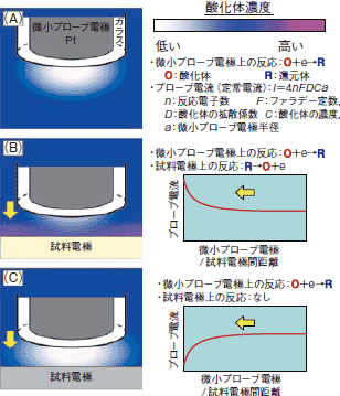 SECMの測定原理