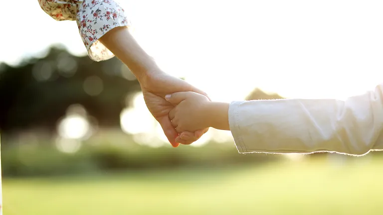 Our Approach to Sustainability